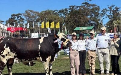 Colonia se destacó en la Expo Rural del Prado.