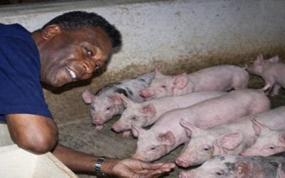 Pelé y la Fazenda Sossego: el Rey también fue hombre de campo.