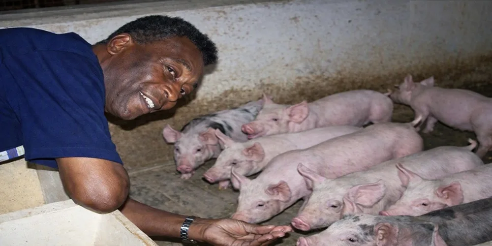 Pelé y la Fazenda Sossego: el Rey también fue hombre de campo.