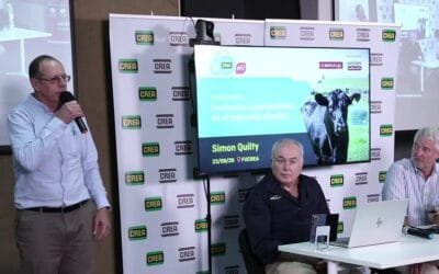 Menos oferta mundial y mercados en reconfiguración: las ventajas competitivas de la carne uruguaya hasta 2028.
