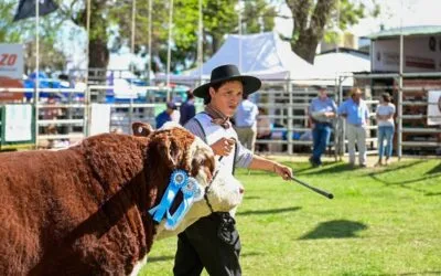 Con realidades diferentes, productores del sur de Corrientes piden lo mismo que los de Uruguay.