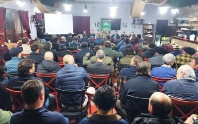 Mercado de haciendas: bajas en vacunos y estabilidad en ovinos.