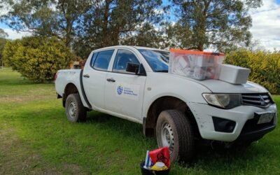 Influenza aviar en Colonia, se relevaron 34 establecimientos y continúa la vigilancia en la zona