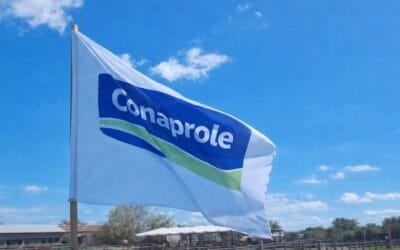 Daniel Laborde: “Todos somos productores, todos queremos lo mejor para Conaprole”.