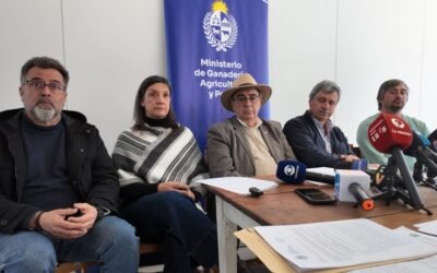 Productores de Salto afectados por el temporal, recibirán apoyo por $ 178,5 millones.