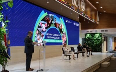 Centroamérica presentó acciones contra el gusano barrenador del ganado.