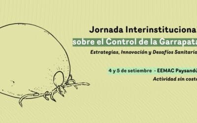 A un año del plan conta la garrapata, Paysandú reúne a instituciones y productores.