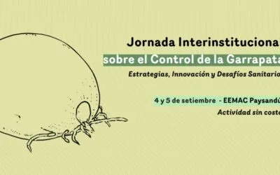 A un año del plan conta la garrapata, Paysandú reúne a instituciones y productores.
