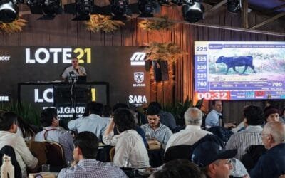 Lote 21 cerró un gran remate, desde el Prado y con el 99% de colocación.