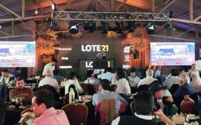 Hoy cierra el remate de Lote 21 que viene marcando ritmo, buena colocación y valores en alza.