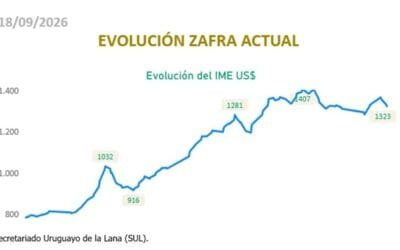 El IME corrigió a la baja, pero está 47% arriba que hace 12 meses.