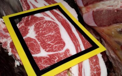 ¿De qué hablamos cuando hablamos de calidad de carne?