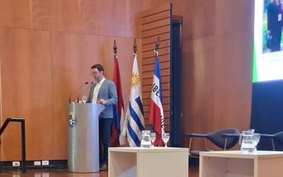 Avicultura: Uruguay tiene una oportunidad, pero necesita mirar más lejos.