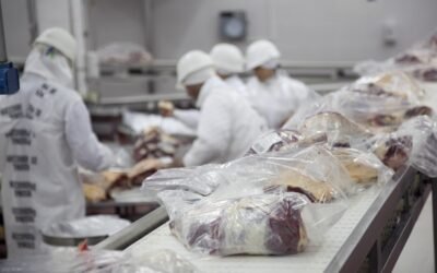 Japón amplía acceso a carne de vacuno argentina.