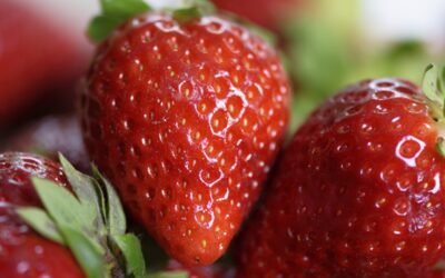 Crece la oferta de frutilla.