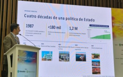 Uruguay destacó su experiencia forestal en la II Semana de Bioeconomía Colombiana.