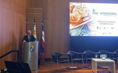 Scayola: También en la carne aviar, Uruguay debe ir por la calidad y la diferenciación.