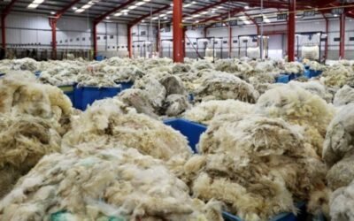 El IME bajó 9 centavos, quedando en US$ 12,52.