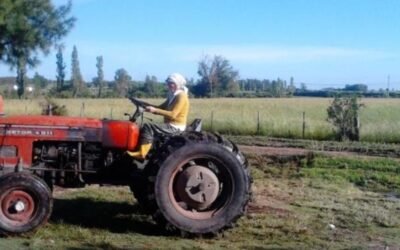 Las mujeres que sostuvieron el campo, mucho antes de ser reconocidas.