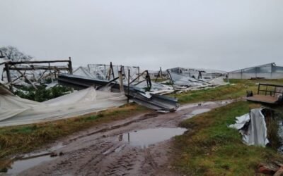 Comienza la notificación a productores de Salto por la Emergencia Granjera.