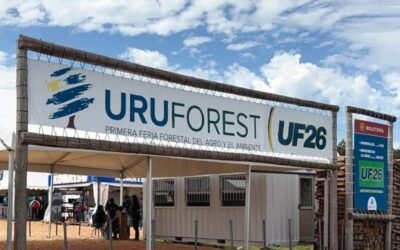 El riesgo institucional de Uruguay es el más bajo de Latinoamérica.