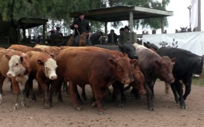 La agilidad pautó la pista de Cuchilla de Silvera.