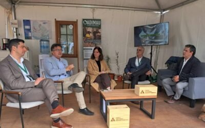 Becas para formar investigadores y financiar proyectos de investigación en áreas estratégicas definidas por el sector forestal.