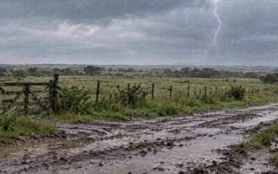 El MGAP declaró el estado de Alerta Institucional ante el fenómeno El Niño 2026-2027.