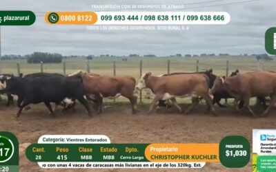 Plaza Rural remató más de 11.000 vacunos y recaudó US$ 82.466 para Rancho Cero.