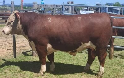 Del 16 al 18 de octubre será la 87ª Expo San Carlos, en Maldonado.